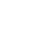 logo_dhri_b